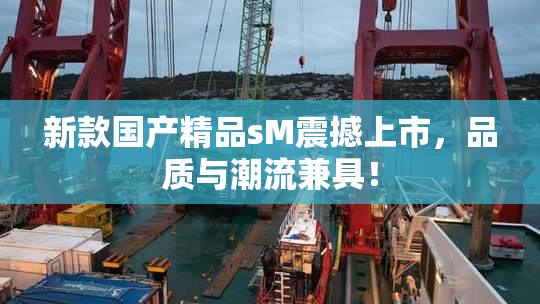 新款国产精品sM震撼上市，品质与潮流兼具！