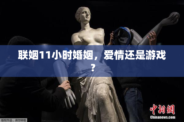联姻11小时婚姻，爱情还是游戏？