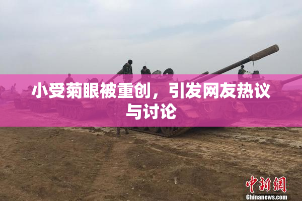 小受菊眼被重创，引发网友热议与讨论