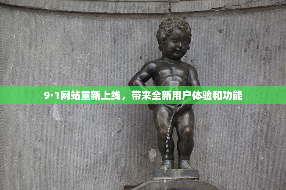 9·1网站重新上线，带来全新用户体验和功能