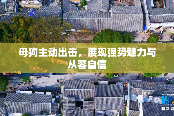 母狗主动出击，展现强势魅力与从容自信