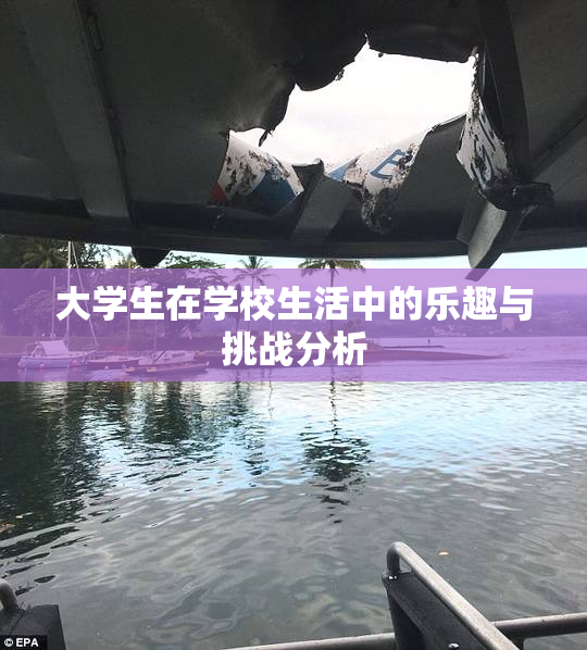 大学生在学校生活中的乐趣与挑战分析