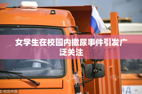 女学生在校园内撒尿事件引发广泛关注