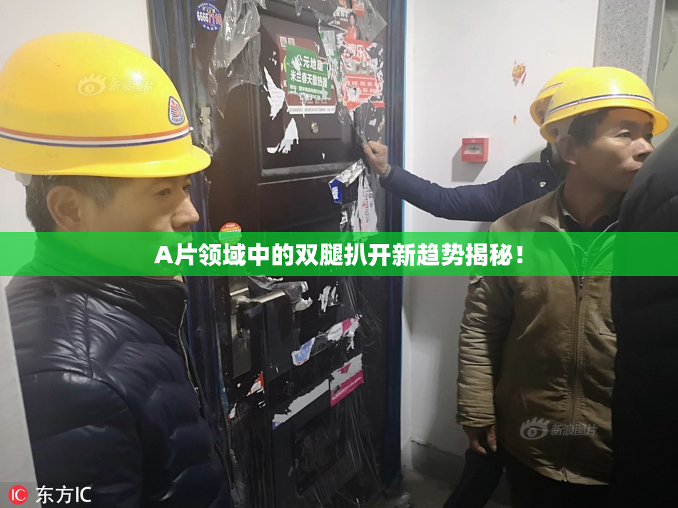 A片领域中的双腿扒开新趋势揭秘！