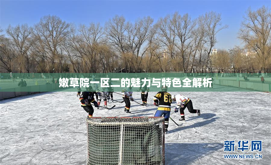 嫩草院一区二的魅力与特色全解析