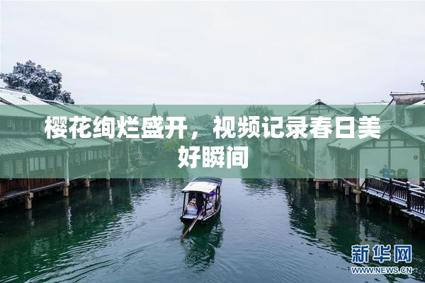 樱花绚烂盛开，视频记录春日美好瞬间