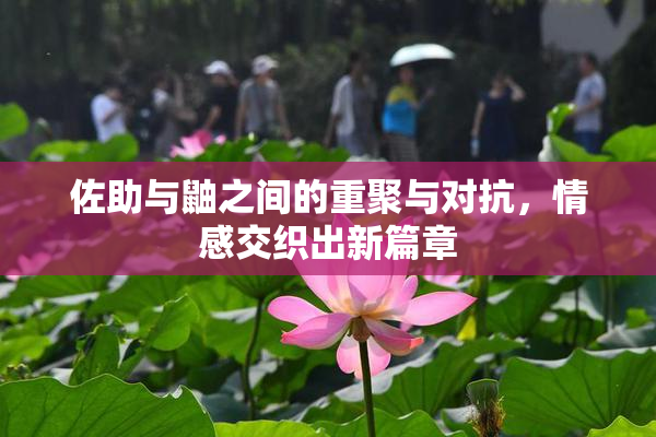 佐助与鼬之间的重聚与对抗，情感交织出新篇章