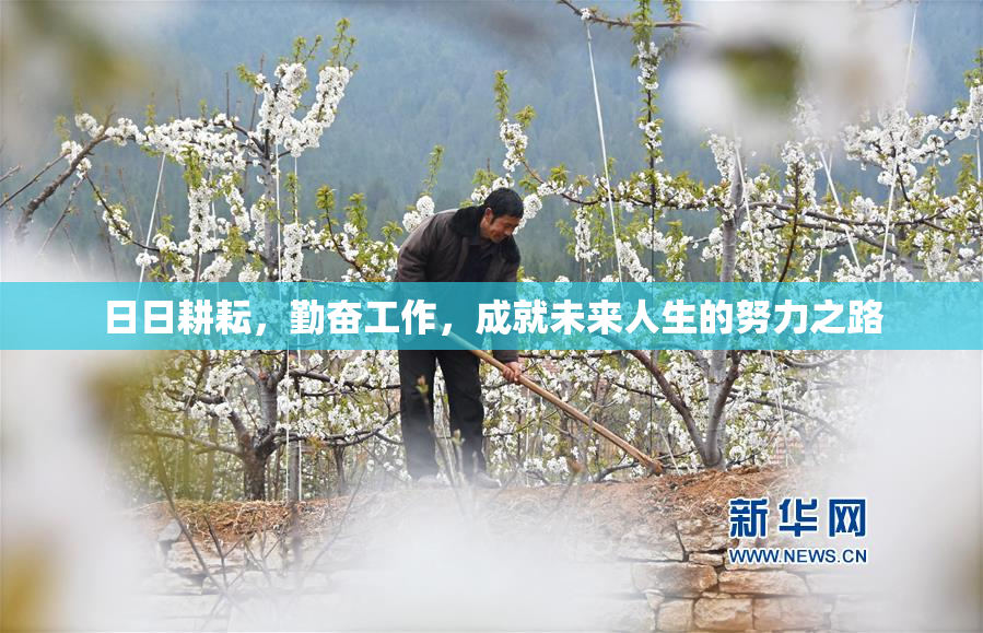 日日耕耘，勤奋工作，成就未来人生的努力之路