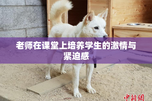 老师在课堂上培养学生的激情与紧迫感