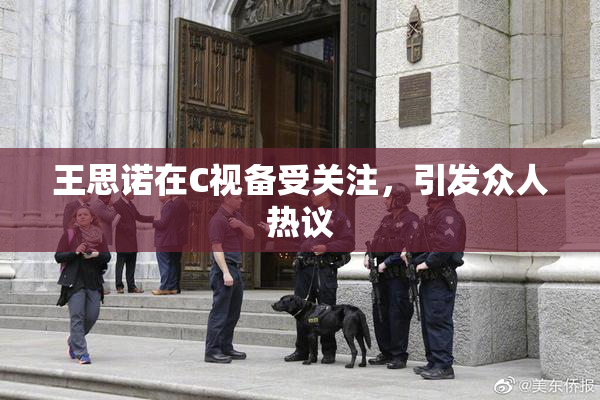 王思诺在C视备受关注，引发众人热议