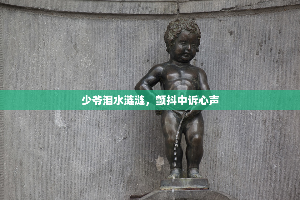 少爷泪水涟涟，颤抖中诉心声