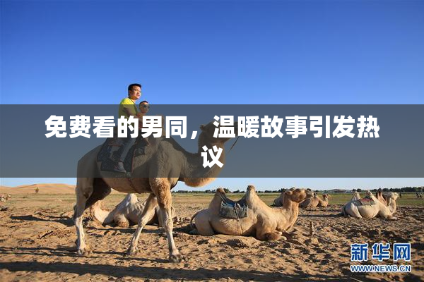 免费看的男同，温暖故事引发热议