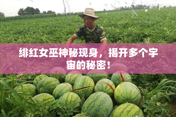 绯红女巫神秘现身，揭开多个宇宙的秘密！