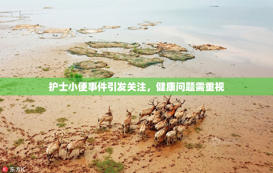 护士小便事件引发关注，健康问题需重视