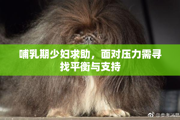 哺乳期少妇求助，面对压力需寻找平衡与支持
