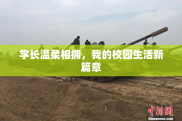 学长温柔相拥，我的校园生活新篇章