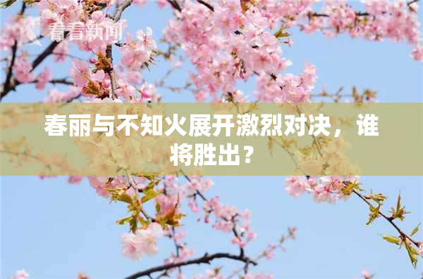 春丽与不知火展开激烈对决，谁将胜出？