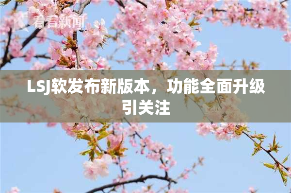 LSJ软发布新版本，功能全面升级引关注
