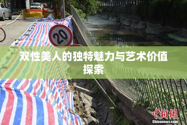 双性美人的独特魅力与艺术价值探索