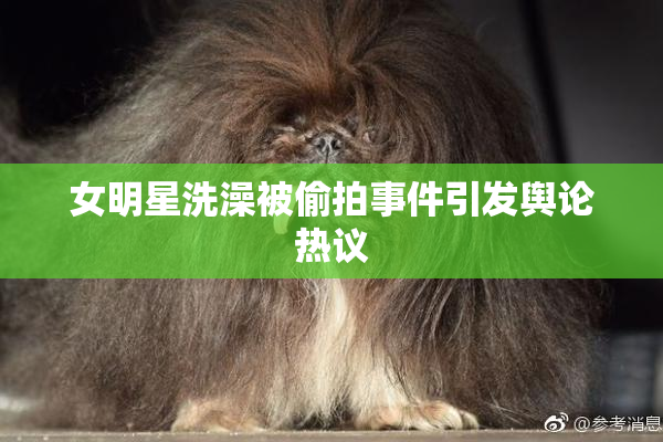 女明星洗澡被偷拍事件引发舆论热议