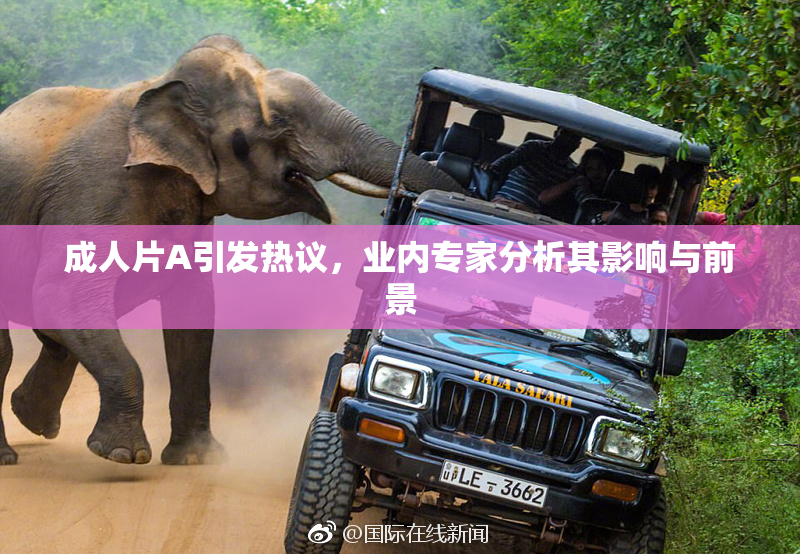成人片A引发热议，业内专家分析其影响与前景