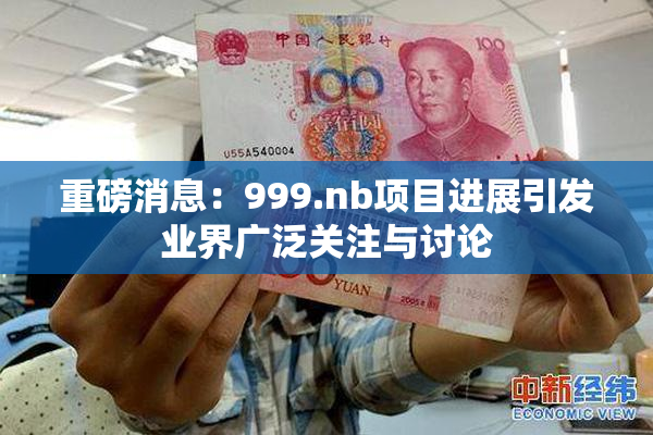 重磅消息：999.nb项目进展引发业界广泛关注与讨论