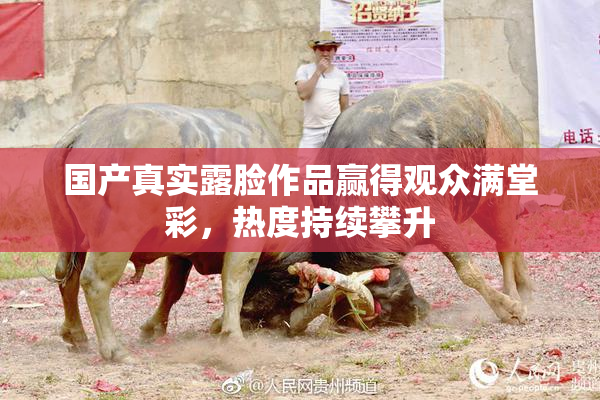 国产真实露脸作品赢得观众满堂彩，热度持续攀升