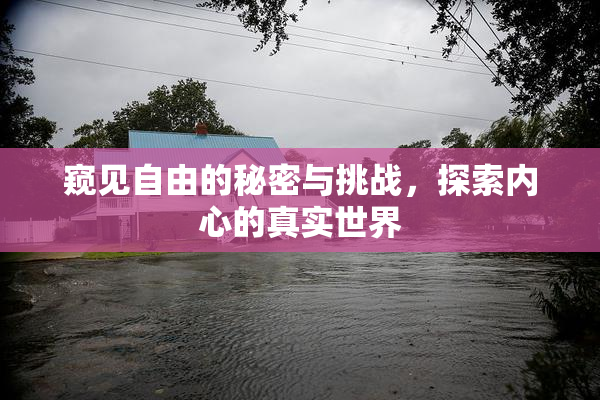 窥见自由的秘密与挑战，探索内心的真实世界