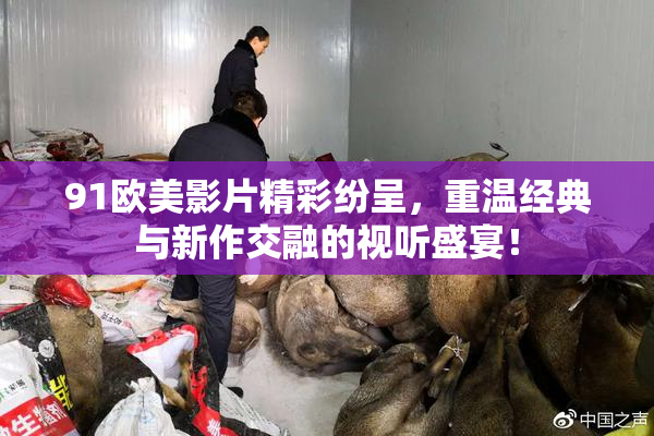 91欧美影片精彩纷呈，重温经典与新作交融的视听盛宴！