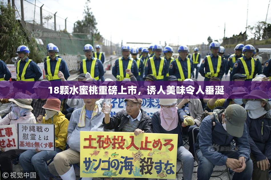 18颗水蜜桃重磅上市，诱人美味令人垂涎