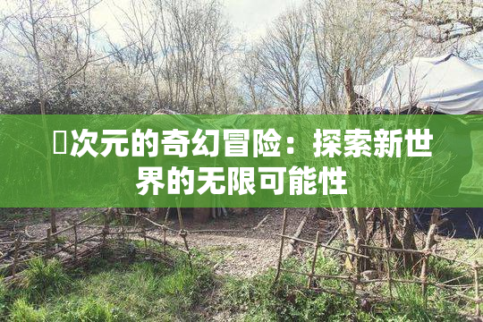 囧次元的奇幻冒险：探索新世界的无限可能性