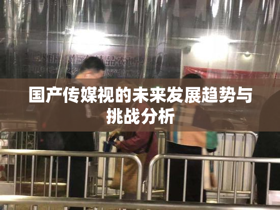 国产传媒视的未来发展趋势与挑战分析