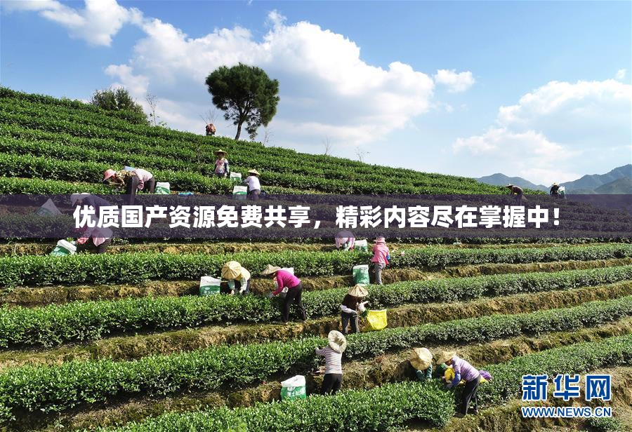 优质国产资源免费共享，精彩内容尽在掌握中！