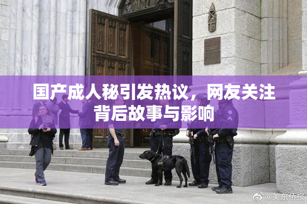 国产成人秘引发热议，网友关注背后故事与影响