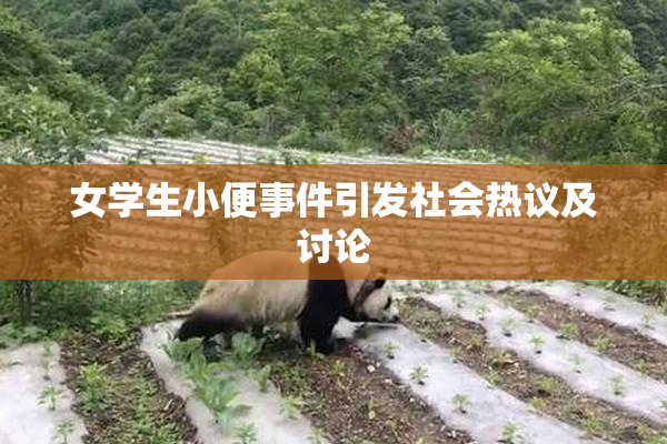 女学生小便事件引发社会热议及讨论