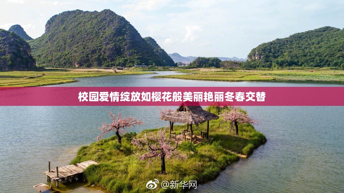校园爱情绽放如樱花般美丽艳丽冬春交替