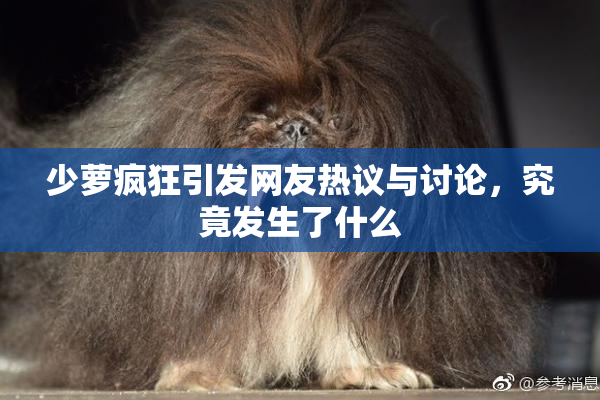少萝疯狂引发网友热议与讨论，究竟发生了什么