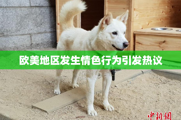 欧美地区发生情色行为引发热议