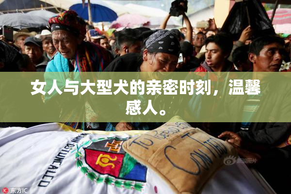 女人与大型犬的亲密时刻，温馨感人。