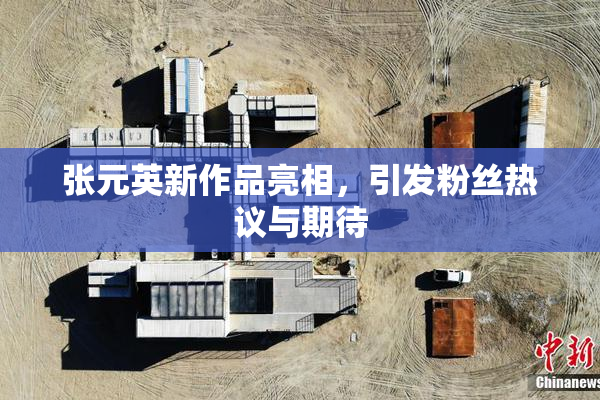 张元英新作品亮相，引发粉丝热议与期待