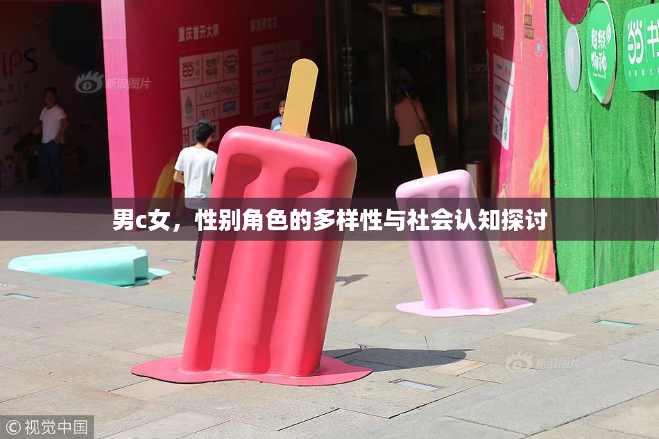 男c女，性别角色的多样性与社会认知探讨