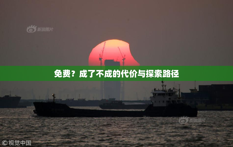 免费？成了不成的代价与探索路径