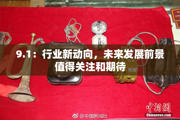 9.1：行业新动向，未来发展前景值得关注和期待