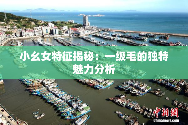 小幺女特征揭秘：一级毛的独特魅力分析