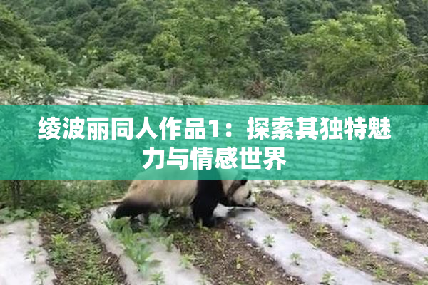 绫波丽同人作品1：探索其独特魅力与情感世界