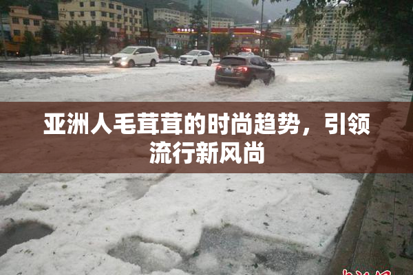 亚洲人毛茸茸的时尚趋势，引领流行新风尚