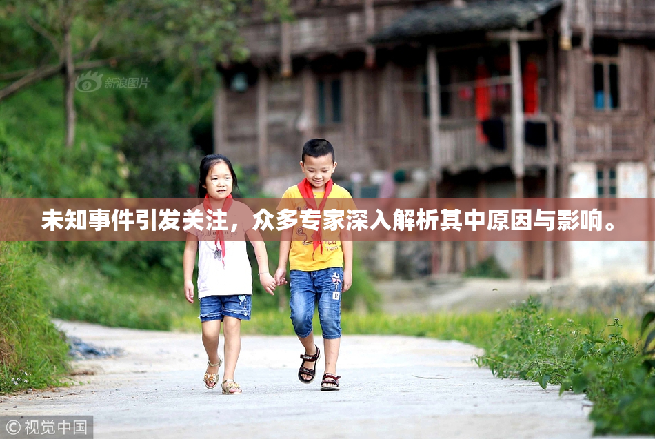 未知事件引发关注，众多专家深入解析其中原因与影响。