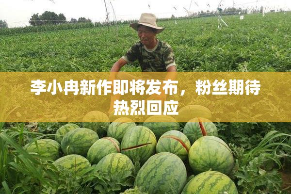 李小冉新作即将发布，粉丝期待热烈回应