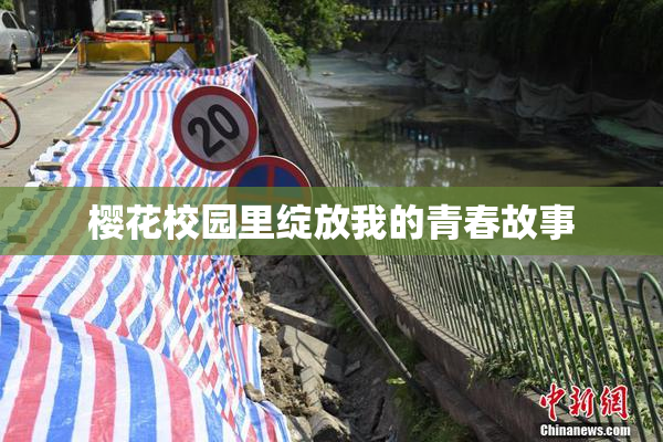樱花校园里绽放我的青春故事