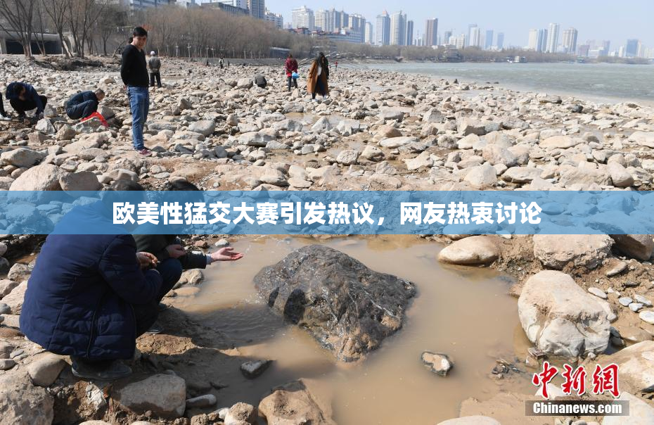 欧美性猛交大赛引发热议，网友热衷讨论